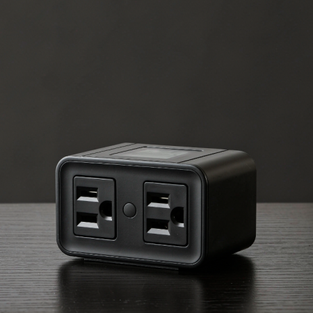 Dual Outlet Smart Plug